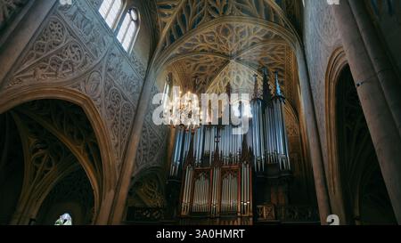 I visitatori ammirano gli splendidi dettagli ornati e il maestoso organo che riflette la ricca storia di Chambery France. Foto Stock