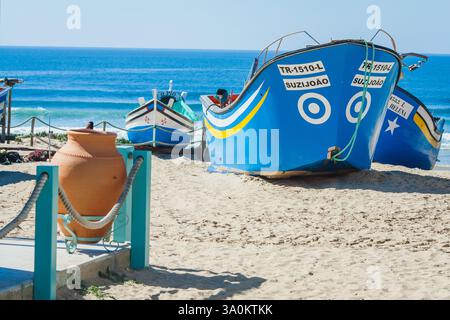 Questa immagine cattura una tranquilla scena costiera con barche da pesca colorate che riposano su una spiaggia sabbiosa. Una pentola di argilla color terracotta e fencin di corda Foto Stock