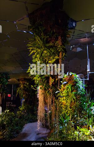 Un tranquillo giardino interno a New York, pieno di vegetazione lussureggiante e fiori vivaci. Foto Stock