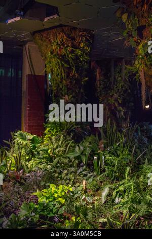 Un tranquillo giardino interno a New York, pieno di vegetazione lussureggiante e fiori vivaci. Foto Stock