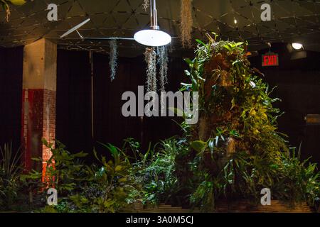 Un tranquillo giardino interno a New York, pieno di vegetazione lussureggiante e fiori vivaci. Foto Stock