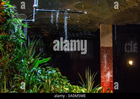 Un'installazione giardino interno a New York mette in mostra un'armoniosa miscela di natura e architettura. Foto Stock