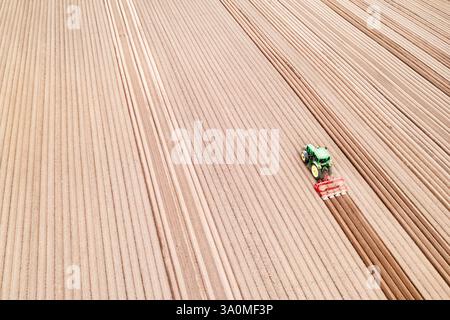 Vista aerea di un trattore che lavora su un terreno agricolo arato, preparandosi per la semina del prodotto. Concetto di agricoltura industriale Foto Stock