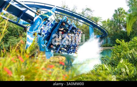 La manta acquatica si trova a Seaworld, Orlado USA. Lato a vista attraverso il fogliame Foto Stock
