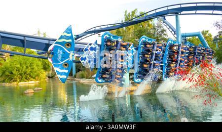 La manta acquatica si trova a Seaworld, Orlado USA. Lato in vista Foto Stock