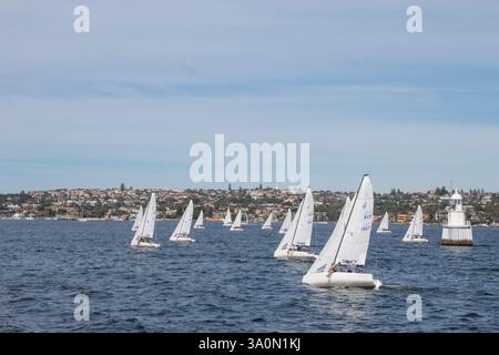 Regata in barca a vela sul porto di Sydney: Molte barche a vela bianche corrono su acque blu discontinue. Lo skyline della città e un faro si trovano in lontananza. Cielo nuvoloso Foto Stock