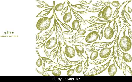 Olivo, frutta verde, ramoscello di consistenza. Modello monocromatico vintage. Design con incisione vettoriale per la stampa di alimenti mediterranei, olio aromatico Illustrazione Vettoriale