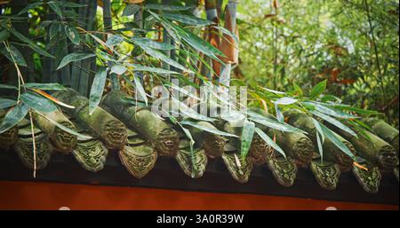 Antiche piastrelle di argilla con immagini delle facce dei draghi di Kylins o Qilin. Kylins è Mascot Dragon in Cina. Tradizionale decorazione architettonica Cinese Foto Stock