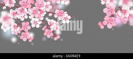 Rami di ciliegio in fiore su sfondo trasparente. Per biglietti d'auguri primaverili e imballaggi cosmetici. Rami con fiori sakura rosa. Illustrazione vettoriale. Illustrazione Vettoriale