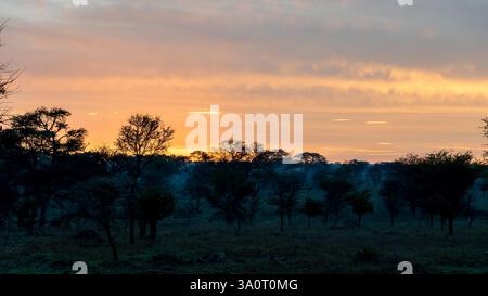 Un tramonto mozzafiato che mostra colori vivaci su un paesaggio lussureggiante con alberi sagomati Foto Stock