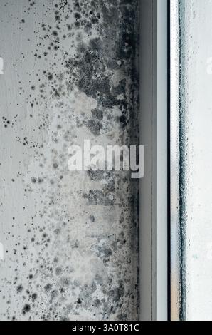 Macchie di muffa nere sulle pareti umide vicino al telaio della finestra all'interno della vecchia casa Foto Stock