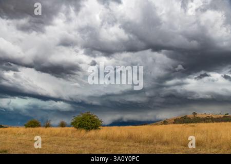 Tempeste serali che attraversano la campagna di Blayney, nel centro-ovest del nuovo Galles del Sud, Australia. Foto Stock