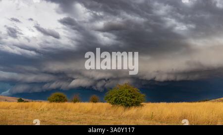 Tempeste serali che attraversano la campagna di Blayney, nel centro-ovest del nuovo Galles del Sud, Australia. Foto Stock