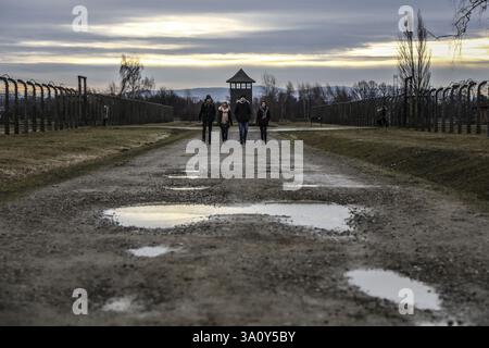 Oswiecim, Polonia. 27 gennaio 2016. L'evento del 71° anniversario della liberazione del campo di concentramento e sterminio nazista tedesco di Auschwitz. Gli ex prigionieri visitano Camp Auschwitz Birkenau II (immagine di credito: © Beata Zawrzel/ZUMA Press Wire) SOLO PER USO EDITORIALE! Non per USO commerciale! Foto Stock