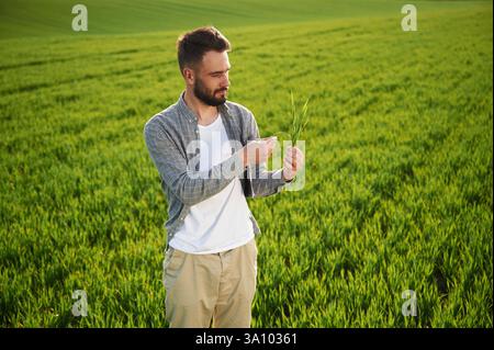 Tenere il frumento. Bel giovane uomo è in campo agricolo. Foto Stock