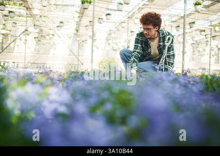 Fiori di colore viola. Il giovane uomo con i capelli ricci e con gli occhiali è in serra. Foto Stock