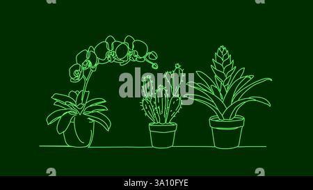 Le piante in vaso disegnano disegni artistici. Bromeliade di cactus orchidea all'interno. Design degli interni, arredamento per la casa, stampa artistica. Vettore sfondo verde contorno minimalista Illustrazione Vettoriale