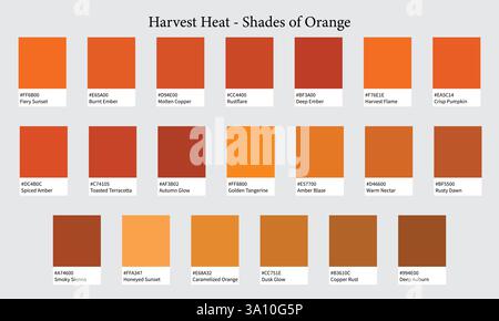 Tavolozze dei colori 20 tonalità di arancione - calore, fuoco, Autunno, tramonto - con codici e nomi ESADECIMALI, campioni di colore e combinazioni Illustrazione Vettoriale