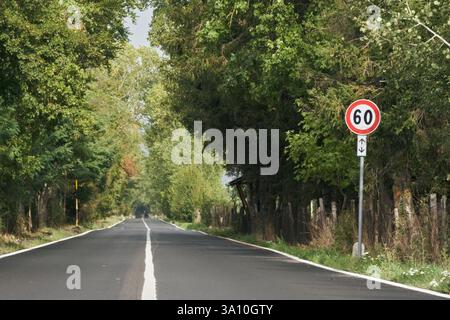 Strada asfaltata che passa attraverso una fitta foresta con un cartello con limite di velocità di 60 km/h nel Parco Nazionale della Sila, Calabria, Italia. Foto Stock