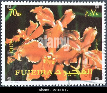 Francobollo cancellato stampato da Fujairah (Fujeira), che mostra Fiori, circa 1972. Foto Stock