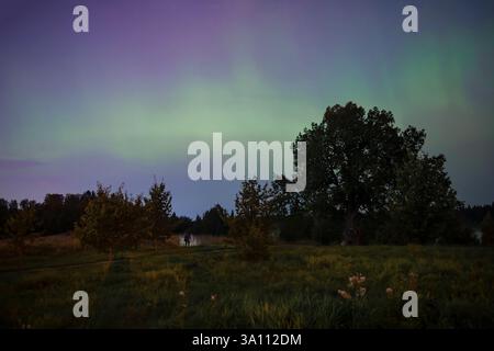 Aurora boreale (Aurora boreale) nella regione di Leningrado in una notte di settembre. Russia Foto Stock