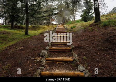 Scale fatte da umani con tronchi in natura, Alcoy, Spagna Foto Stock