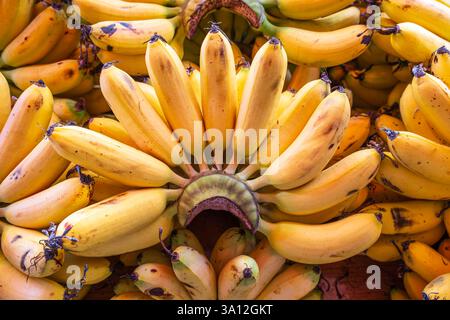 Cambogia, Battambang, mercato centrale o Psar Nat Foto Stock