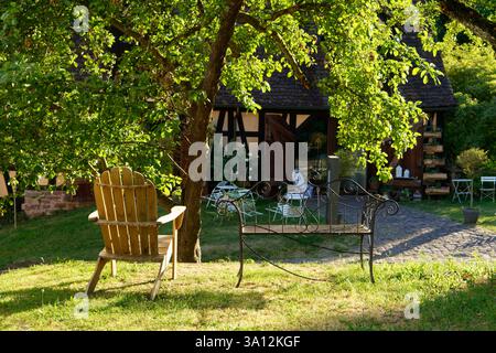 Germany, Baden-Wurttemburg, Black Forest (Schwarztwald), Calw, Hirsau Abbey, former monastery of St. Peter and Paul Foto Stock