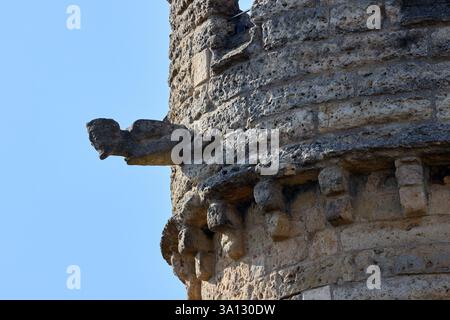 Un gargoyle su una torre del castello di Lincoln si abbina con una faccia in pietra intagliata e intemprata. Foto Stock