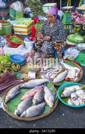 Cambogia, Phnom Penh, distretto di Prampi Makara, mercato di Orussey Foto Stock