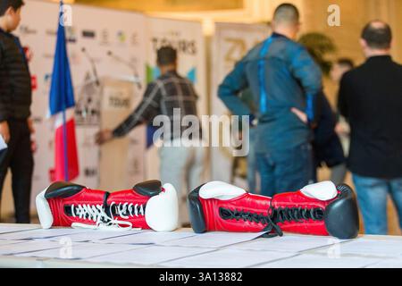 Francia, Indre et Loire, Tours, municipio, serata di gala di kickboxing della notte dei Titans Foto Stock