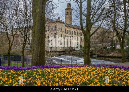Incroci nel Roberts Park, Baildon (Saltaire) accanto a una diga sul fiume Aire. Salts Mill, un'ex fabbrica tessile, è sullo sfondo. Foto Stock