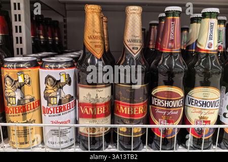 Bobruisk, Bielorussia - 22 febbraio 2025: Gli scaffali sono pieni di varie birre artigianali, con etichette colorate. Il caldo bagliore della luce serale illumin Foto Stock