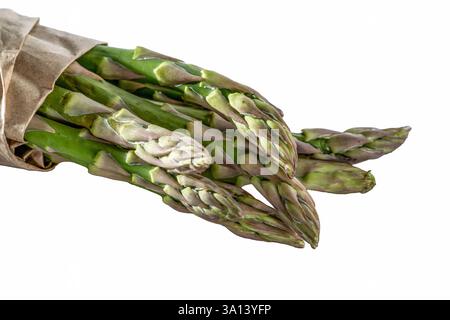 confezione di puntali di asparagi verdi freschi grezzi in sacchetto di carta su sfondo bianco, vista ad angolo elevato, direzione diagonale da sinistra, primo piano, copia spac Foto Stock