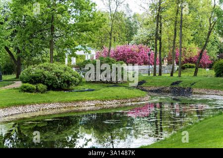Giardino polacco nella tenuta di Derzhavin. Splendida fioritura primaverile. Stagno, ponte Foto Stock