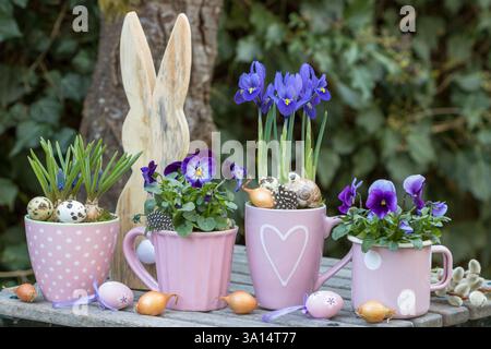 giardino primaverile con fiori viola viola viola, iris reticolato, musari in tazze e coniglietto pasquale Foto Stock