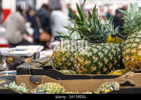Ananas freschi nella sezione prodotti del negozio del club Costco Wholesale a Buford, Georgia. (USA) Foto Stock