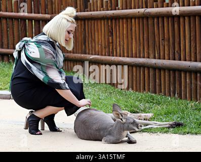 Sydney, Australia. 21 marzo 2014. SYDNEY, AUSTRALIA - 24 MARZO: Hayley Hasselhoff si è presa una pausa dal lavoro serio per divertirsi il lunedì al Taronga Park Zoo il 24 marzo 2014 a Melbourne, Australia persone: Hayley Hasselhoff Credit: Storms Media Group/Alamy Live News Foto Stock