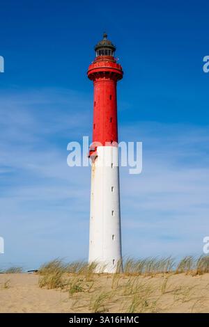 Francia, Charente-Maritime, Royan, la Tremblade, il faro di la Coubre Foto Stock