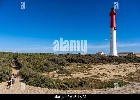 Francia, Charente-Maritime, Royan, la Tremblade, il faro di la Coubre Foto Stock