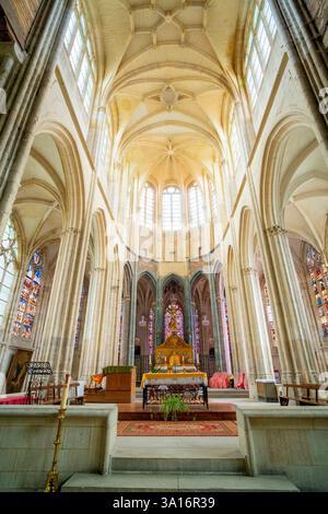 Francia, Yonne, Saint Julien du Sault, la chiesa collegiata di Saint Pierre Foto Stock