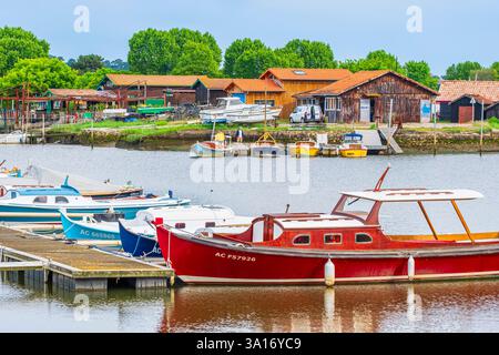 Francia, Gironde, la teste-de-Buch, Tour du Bassin d'Arcachon, il porto delle ostriche di la teste Foto Stock