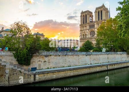 Francia, Parigi, le rive della Senna, patrimonio dell'umanità dell'UNESCO, sorgono il sole sulla cattedrale di Notre Dame de Paris Foto Stock