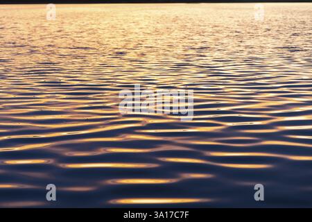 Riflesso della luce serale sulle onde, Grosser Glubigsee vicino a Wendisch Rietz, distretto di Oder-Spree, Brandeburgo, Germania, Europa Foto Stock