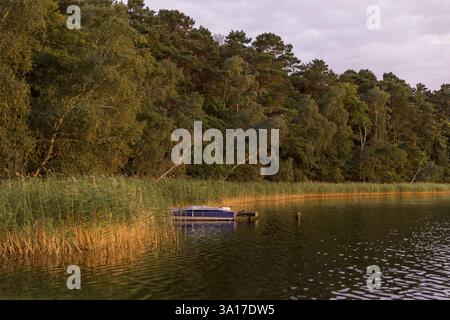 Piccola barca nelle canne alla luce della sera, al Grosser Glubigsee vicino a Wendisch Rietz, distretto di Oder-Spree, Brandeburgo, Germania, Europa Foto Stock