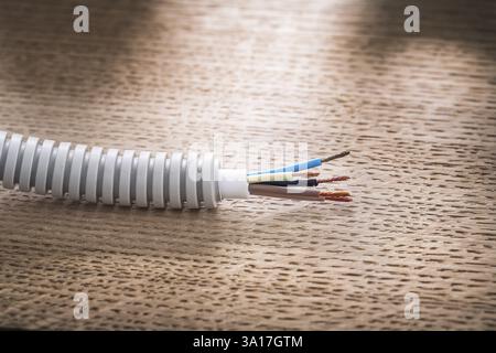 Cavo elettrico nel tubo corrugato Foto Stock