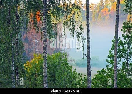 Vista da una finestra in autunno. Colori e nebbia. Foto Stock