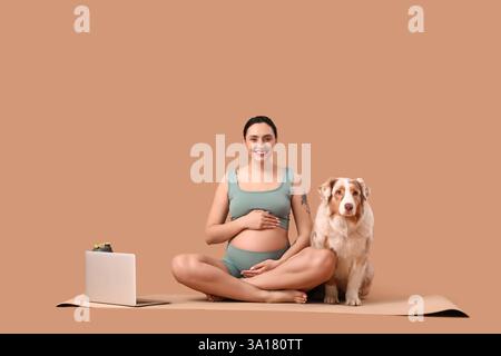 Giovane donna incinta, felice e sportiva, con laptop e simpatico cane da pastore australiano seduto sullo sfondo beige Foto Stock