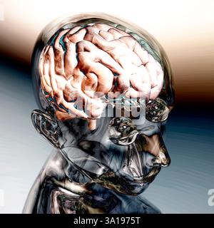Visualizzazione digitale di un cervello umano Foto Stock