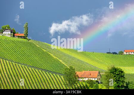 Arcobaleno sui vigneti della Stiria meridionale, Austria Foto Stock